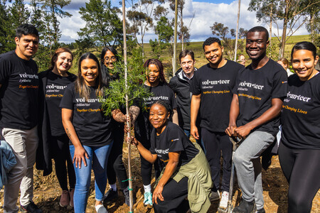 Fairtree Volunteer Programme