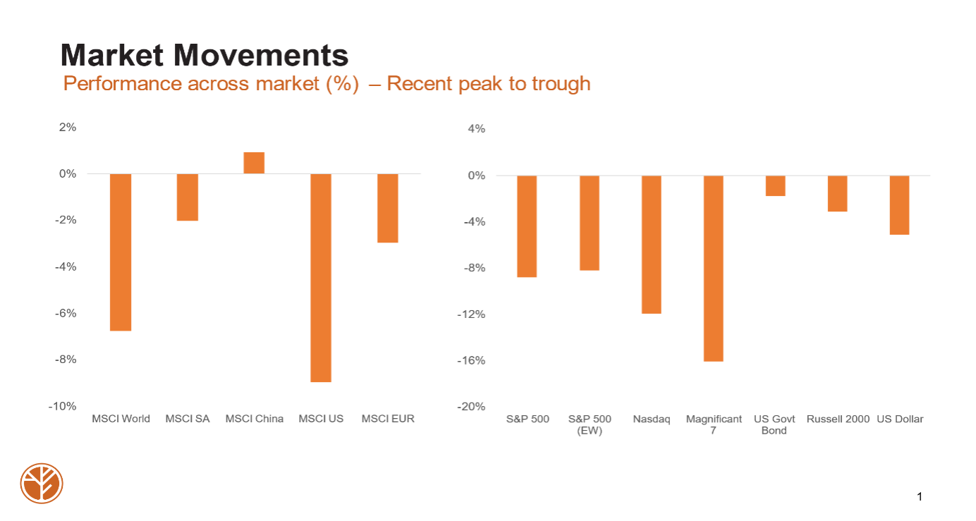 The South African National Budget and Global Developments graph