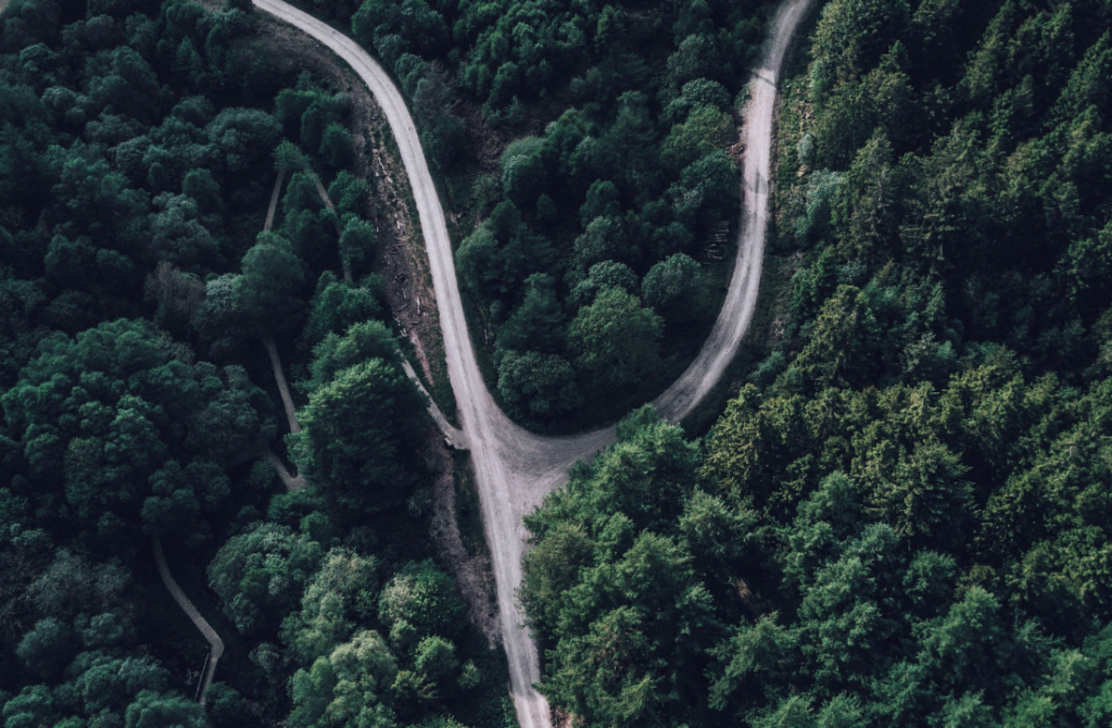 Navigating a momentum-driven market