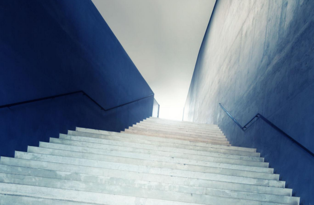 Software strikes back: From AI panic to recovery